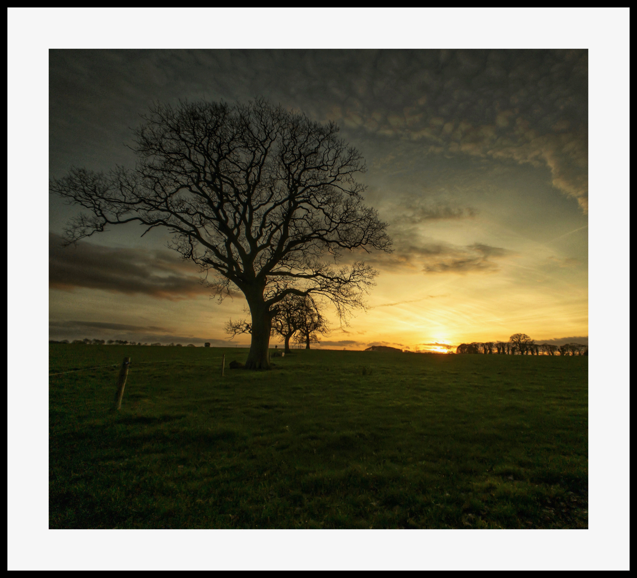 moment_photo_DB0022F2