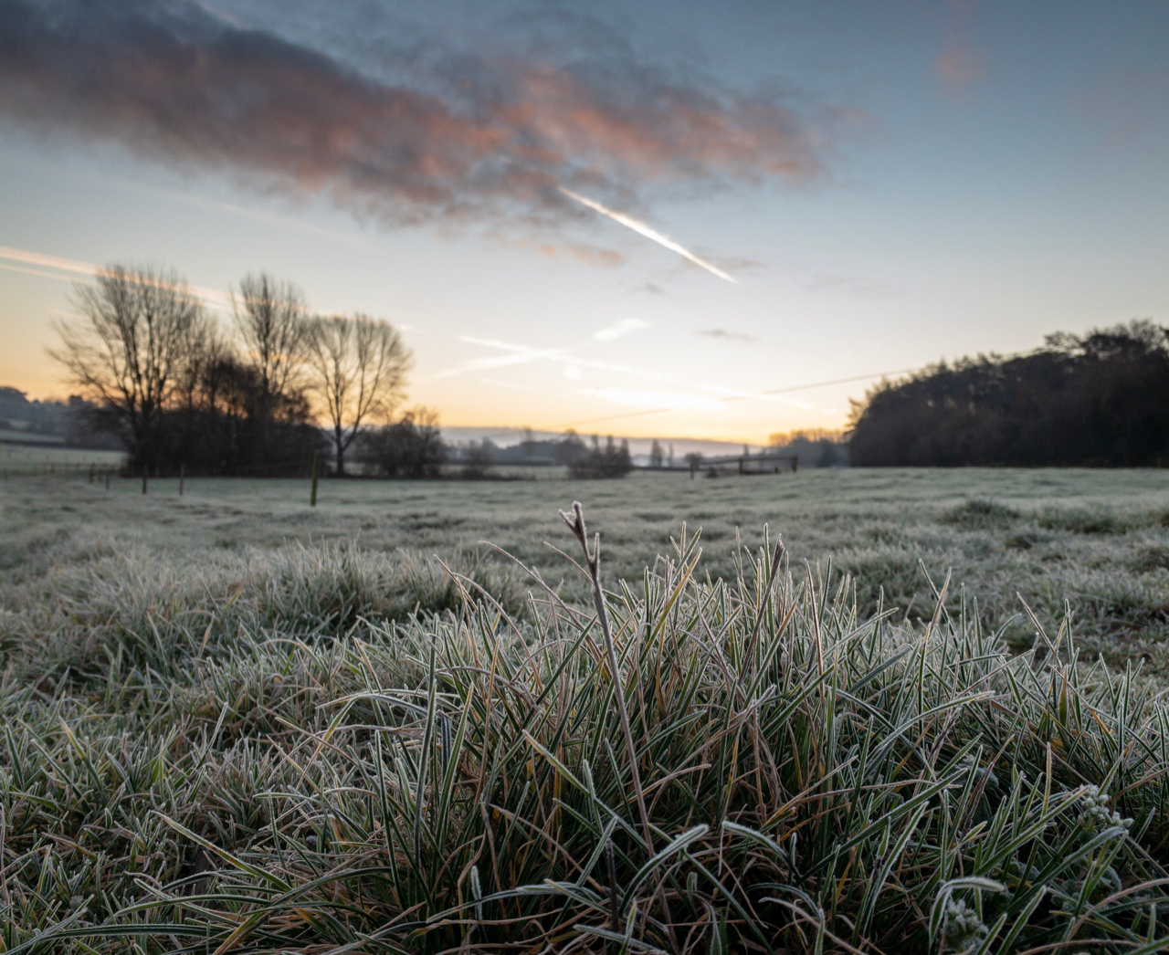 moment_photo_b1c73e1e